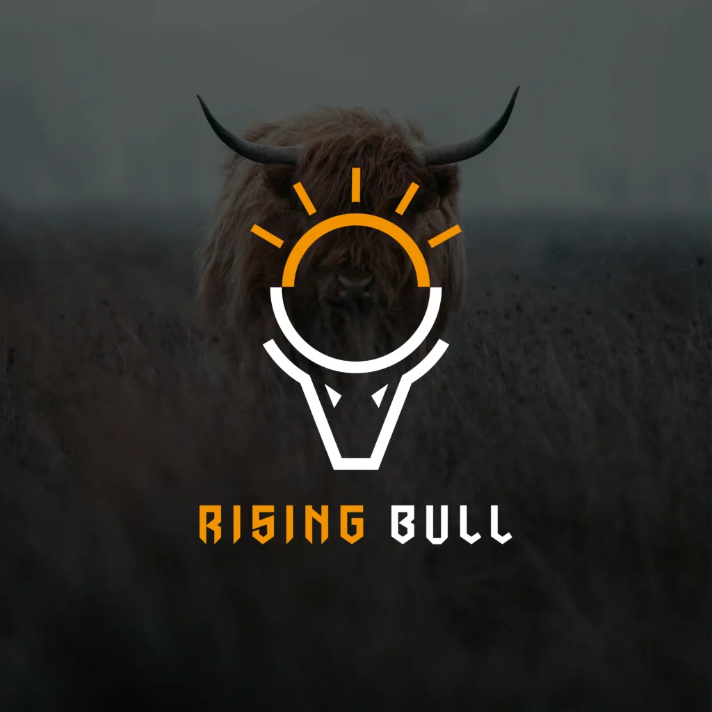 rising-bull-logo